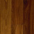 teak