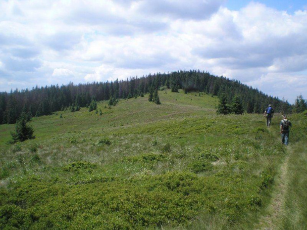 Gorce - zalesiony szczyt Kudłonia z polany Gorc Troszacki #głry #gorce #beskidy