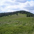 Gorce - zalesiony szczyt Kudłonia z polany Gorc Troszacki #głry #gorce #beskidy