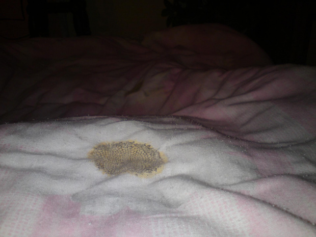 pościel moherek, o zapachu wilgotnej piwnicy