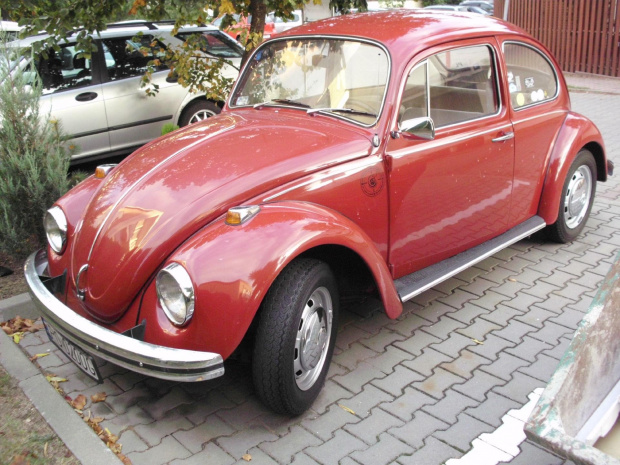 VW 1300