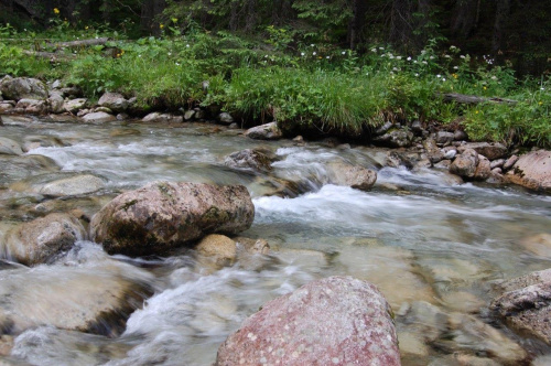 Strumyczek ;) (Zakopane) #Zakopane