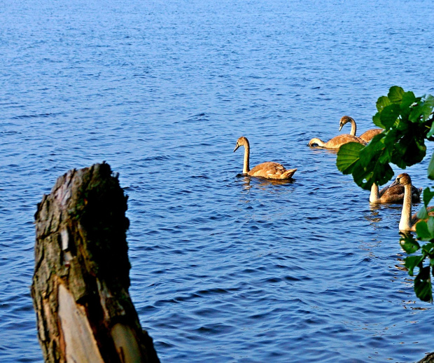 MAZURY JESIENIĄ #JESIENNEKLIMATY