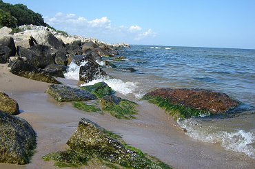 Plaża na Westerplatte #BydgoskiWodniak #MariuszKrajczewski