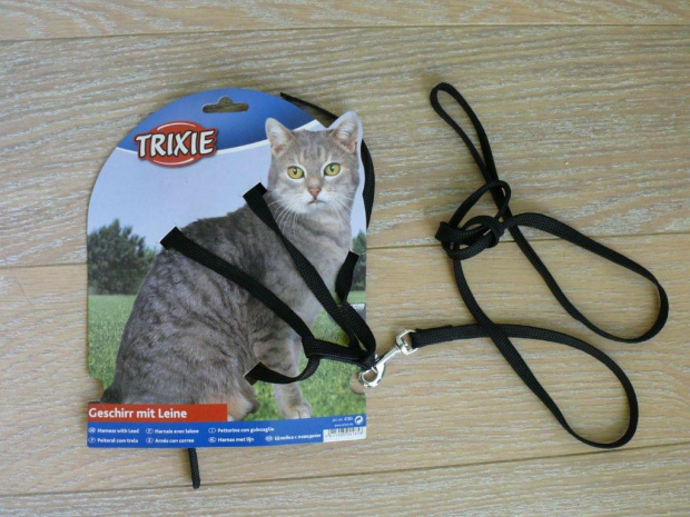 smycz i szelki dla kota