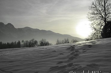 #gory #krajobraz #tatry #snieg