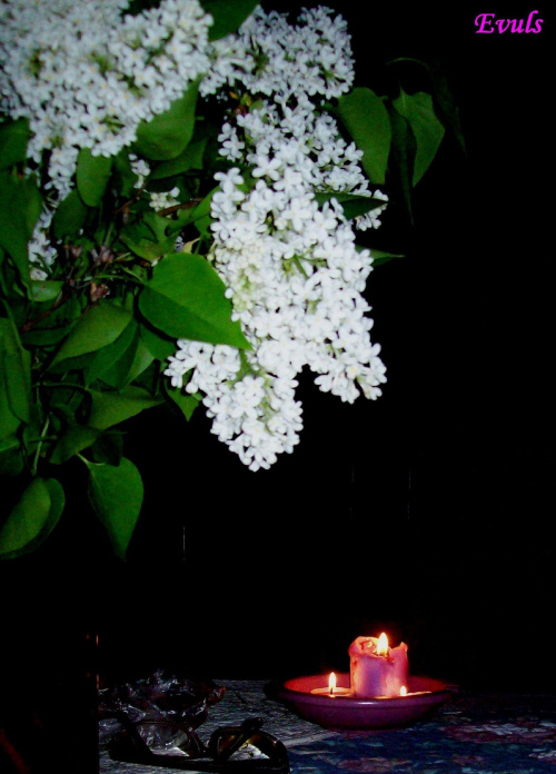 Wspomnienie maja :) #Bez #kwiaty #maj #świece