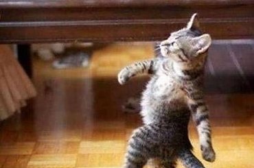 śmieszne zdjęcia #ŚmieszneZdjęcia #humor #rozrywka #śmiech