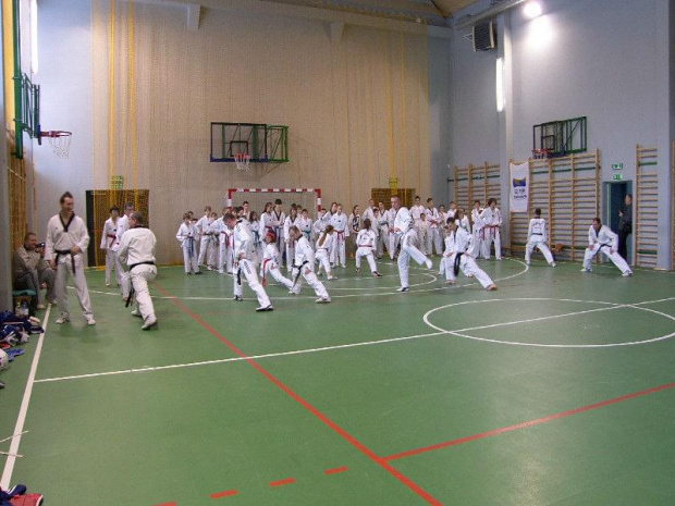 seminarium z MIstrzem Kang Cheol In 7 dan #taekwondo #tkd #walka #zawody