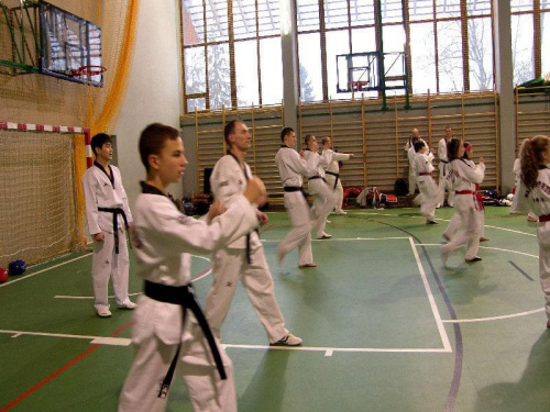 seminarium z MIstrzem Kang Cheol In 7 dan #taekwondo #tkd #walka #zawody