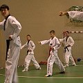 seminarium z MIstrzem Kang Cheol In 7 dan #taekwondo #tkd #walka #zawody