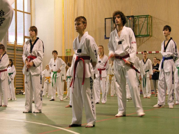 seminarium z MIstrzem Kang Cheol In 7 dan #taekwondo #tkd #walka #zawody