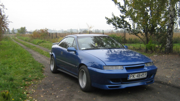 calibra 288