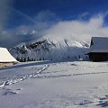 Hala Gąsienicowa (Tatry)