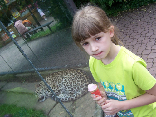 ... #Emilia #Zoo #jaguar