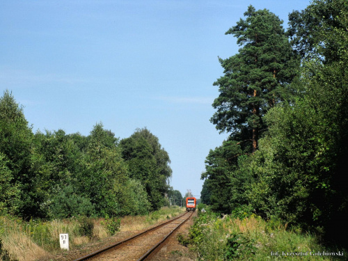|20.08.09| SA106-019 jako pociąg 1126 do Chełmży #osobowy #pkp #Dąbrowa_Chełmińska #Bydgoszcz #Chełmża #linia