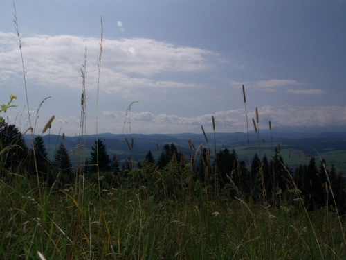 Pieniny #góry #Pieniny