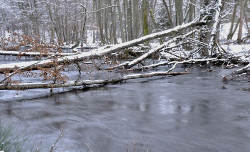 rzeka Łupawa i okolice