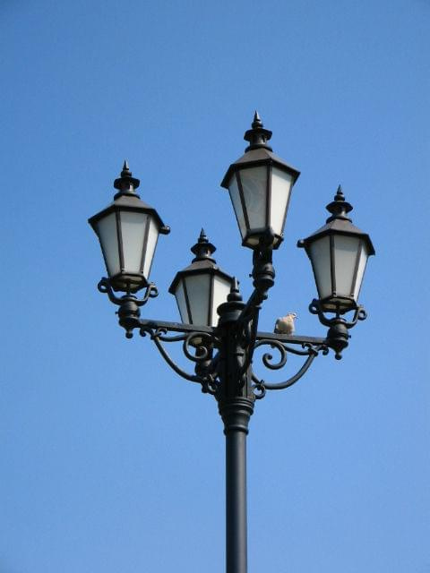 Lampa i siedzący na niej gołąb. #lampa #gołąb #artystyczne #zdjęcie #strzelin