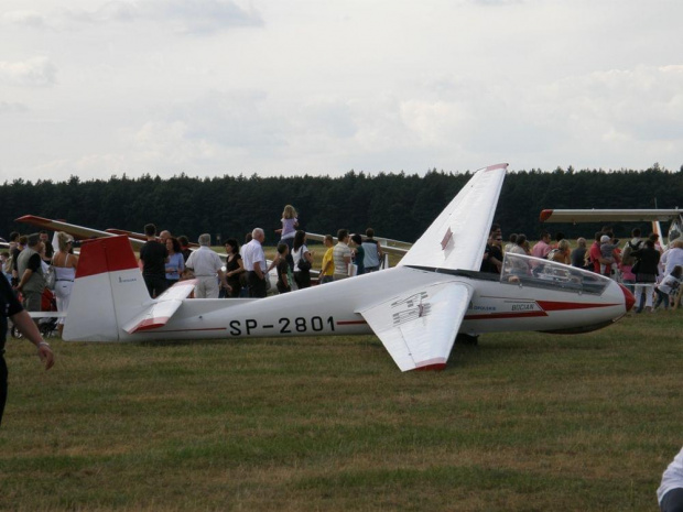 #samoloty #szybowce #antek #dromader #PinikLotniczy