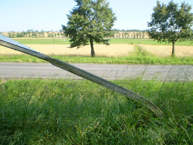 Okolice ścieżki rowerowej Piaski - Gostyń