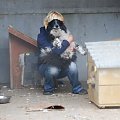 28.4.2013