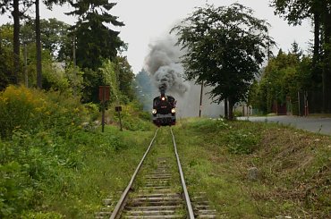 #mazowieckie #parowóz #Piaseczno #Piaseczyńska_Kolej_Wąskotorowa #Px48 #wąskotorówka