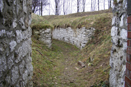 Fort 39 Olszanica