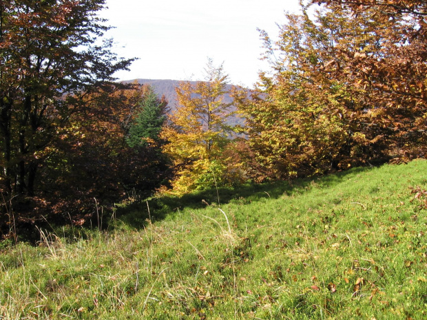 Widok z Małego Jasła, #Góry #Bieszczady