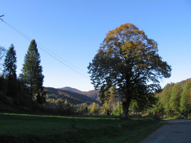 Liszna #Góry #Bieszczady