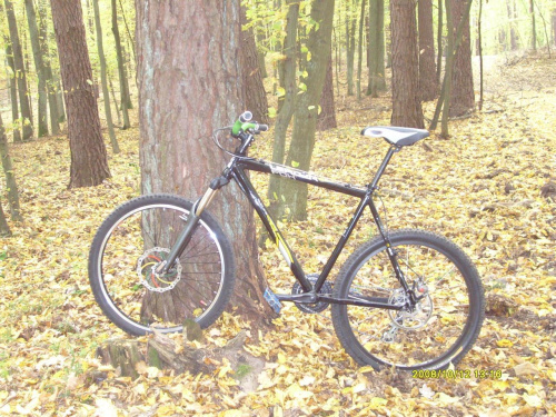 Leader Fox Outline 2008 rower składany od podstaw