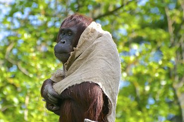 Fashion week w Austriackim Zoo:):) #zoo