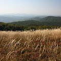 #Bieszczady