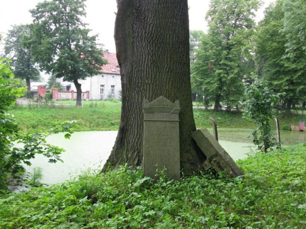 Fiszewo (warmińsko-mazurskie) - cmentarz mennonicki