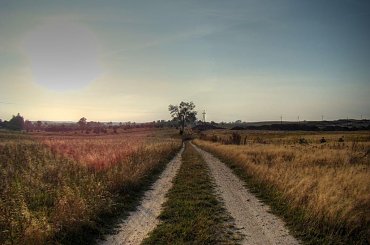 #hdr #szczecinek #pole #droga