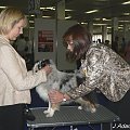 Światowa Wystawa Psów Rasowych Bratysława 2009