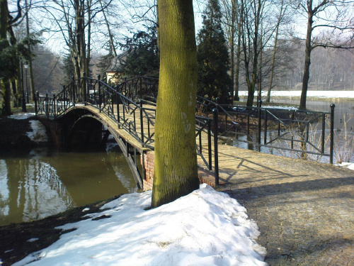 Pszczyna - park - mostek prowadzący na Herbaciarnię #Pszczyna #most #park
