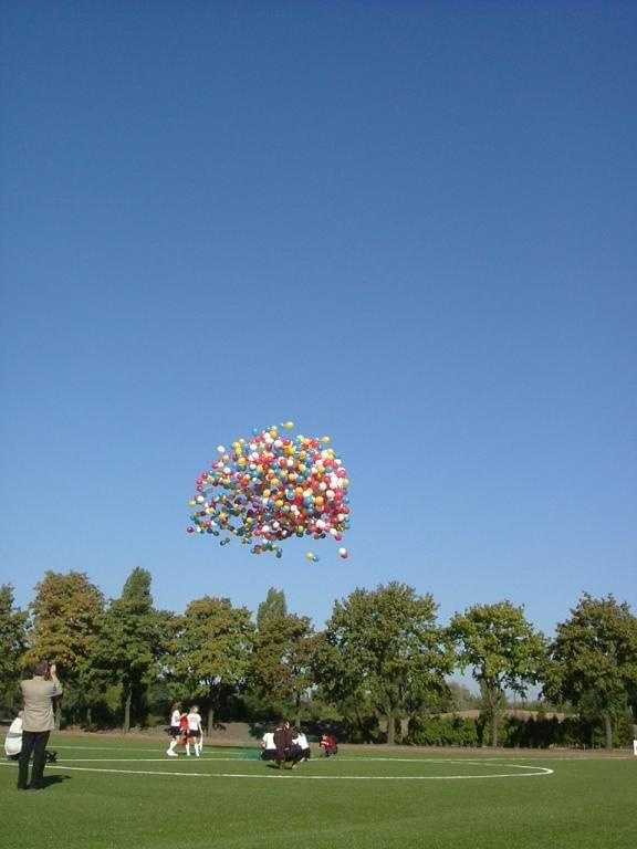 zdjęcia dekoracji balonowych #DekoracjeBalonowe #balony #BalonyReklamowe