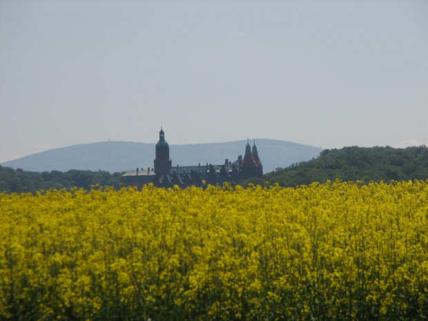 Rzepak, Książ, Wielka Sowa