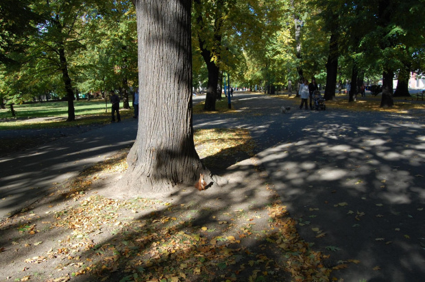 Park Legnica- jesień 2008 #park #Legnica #jesień