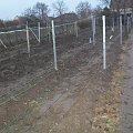 arkadie przykryte ziemia