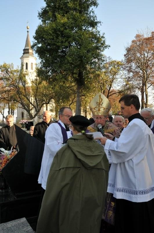 fito: Mariusz Świętnicki