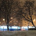 A życie wre,choć zasypane #Warszawa #ParkSkaryszewski #noc #zima #śnieg