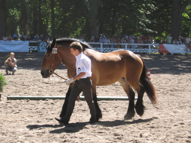 Ebena (Benny van de Lozke-Hoeve - Etiuda po Bertram), hod. R. Szultka