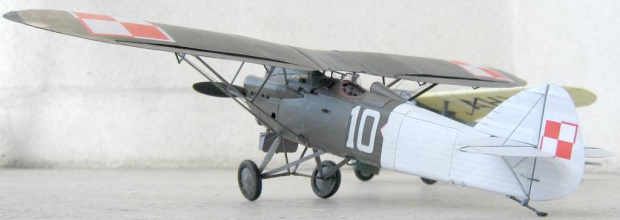 PWS-10