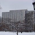 Zima trwa #Warszawa #OgródSaski #zima #śnieg #UlMarszałkowska