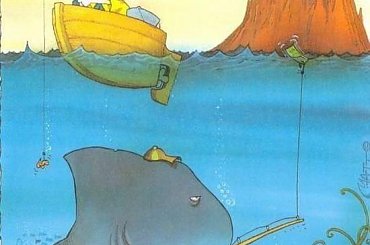 #humor #rekin #przynęta #łowienie #wędkarstwo