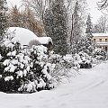 Park uzdrowiskowy w Busku-Zdroju.