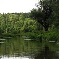 Warta - okolice Mirowa k.Częstochowy #Krajobrazy #Widoki #Rzeka #Warta
