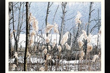 Kilka namalowanych...jesienne, chociaż wiosenne szuwary nad jez.Otomino #obrazy #malowane #MojePrace #szuwary